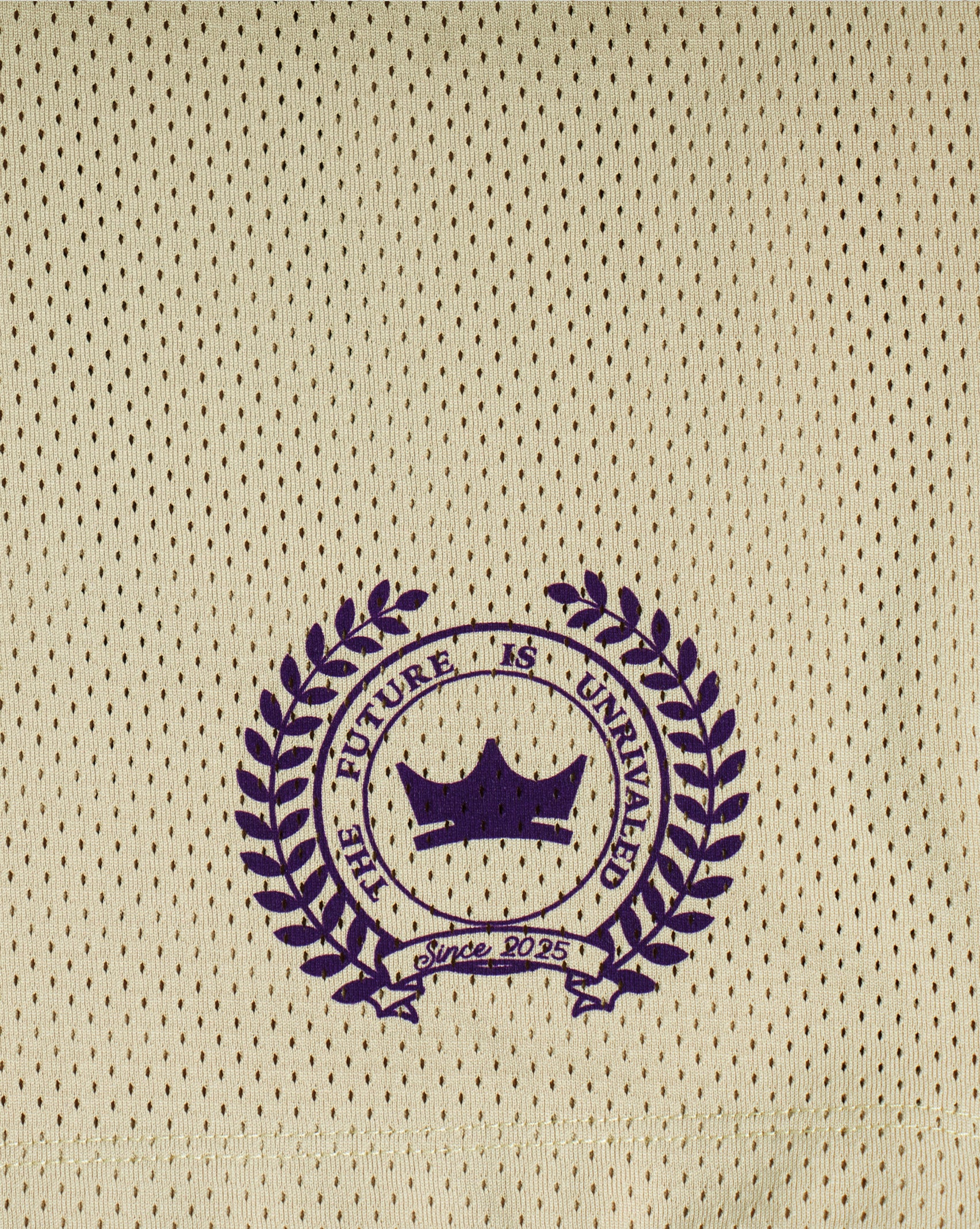 Heavyweight Mesh League Shorts - Tan - Image 2